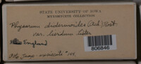 Image Associated With the Occurrence